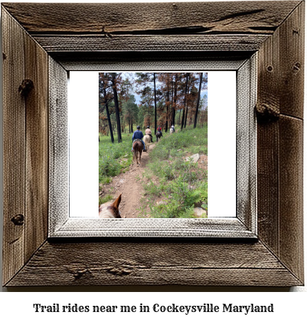 trail rides near me in Cockeysville, Maryland